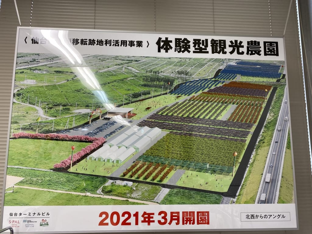 体験型観光農園