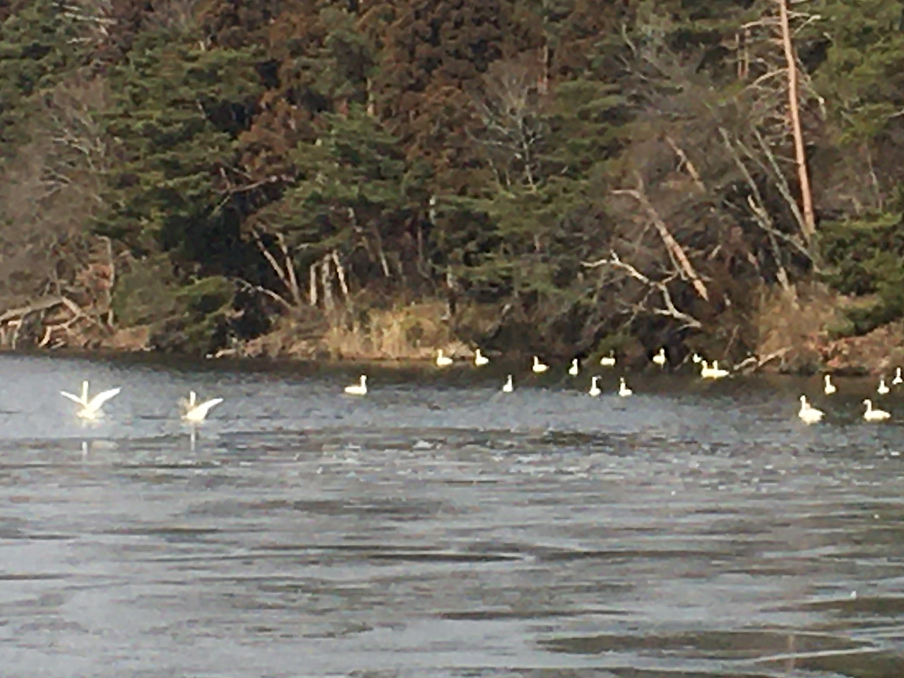 与兵衛沼公園