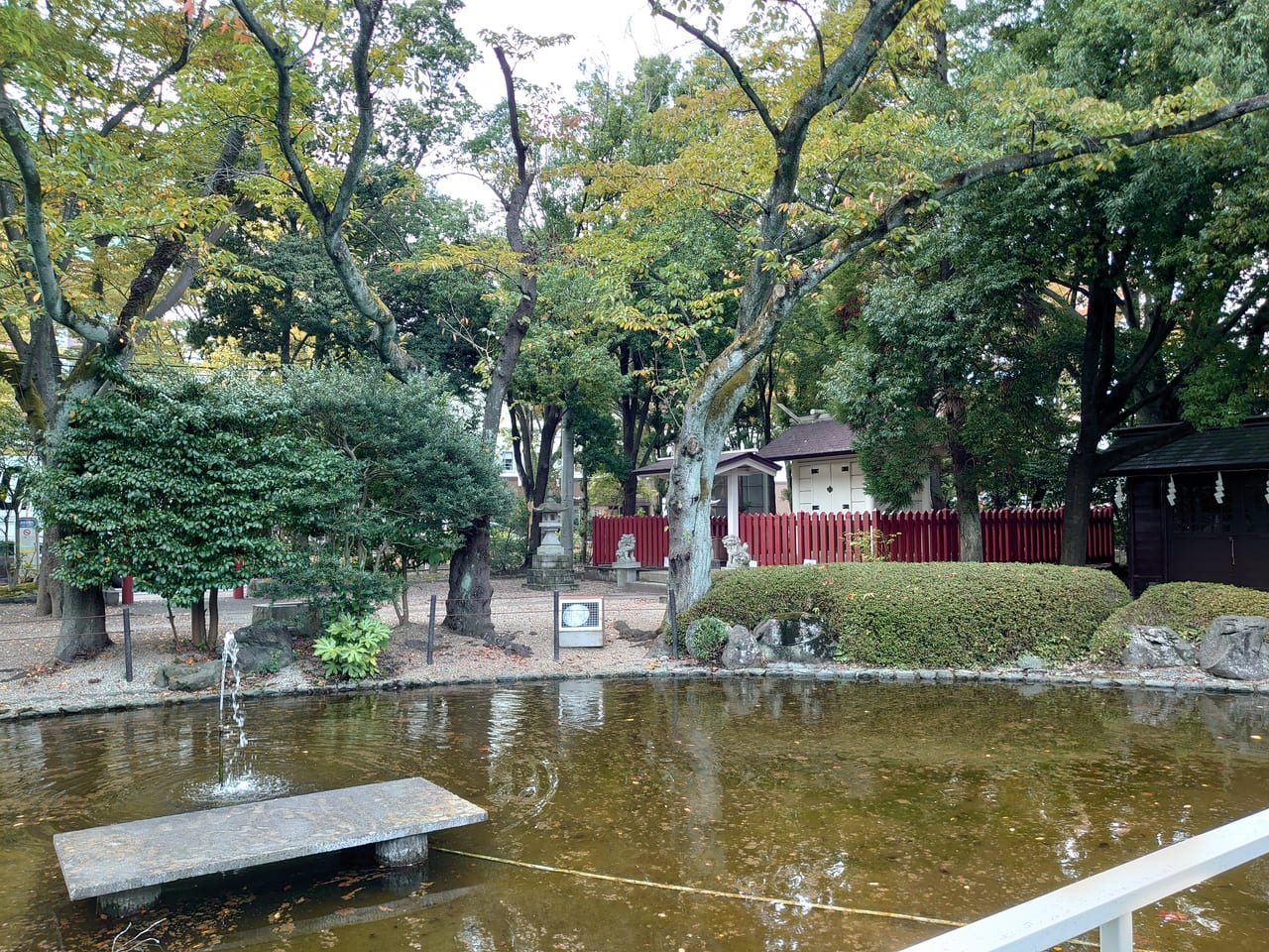 卸町神社付近の池