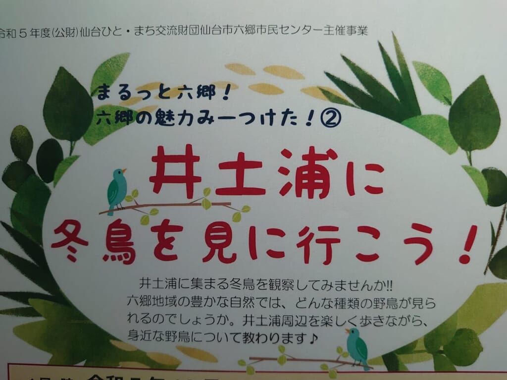 井土浦冬鳥２