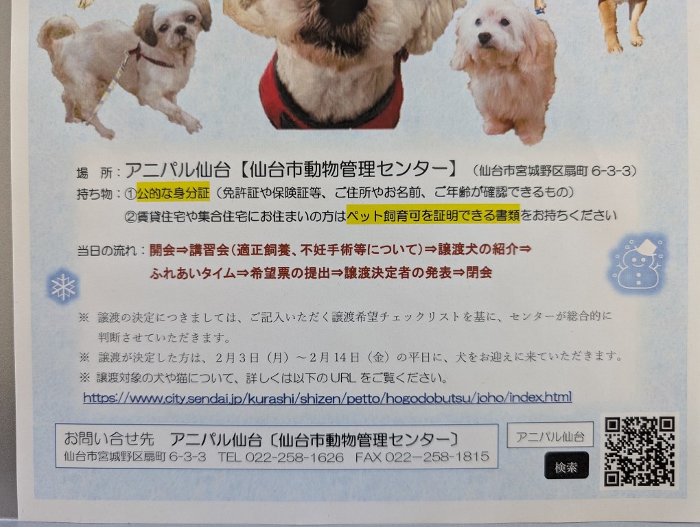 アニパル犬２