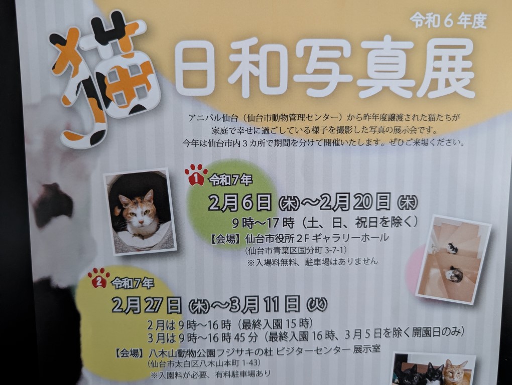 猫日和２