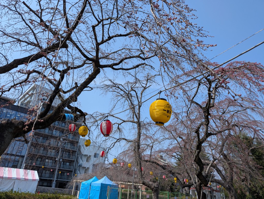榴岡公園１
