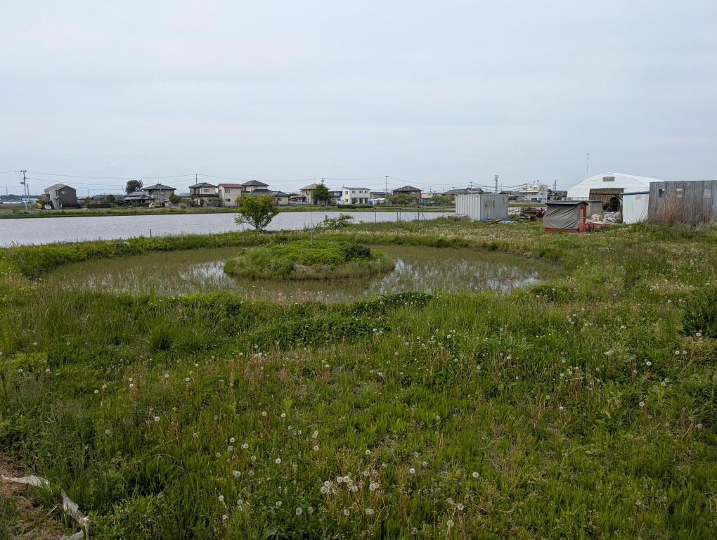丸い田んぼ１