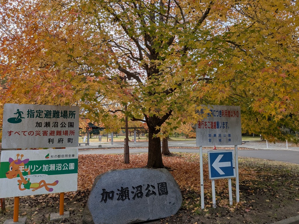 加瀬沼公園１