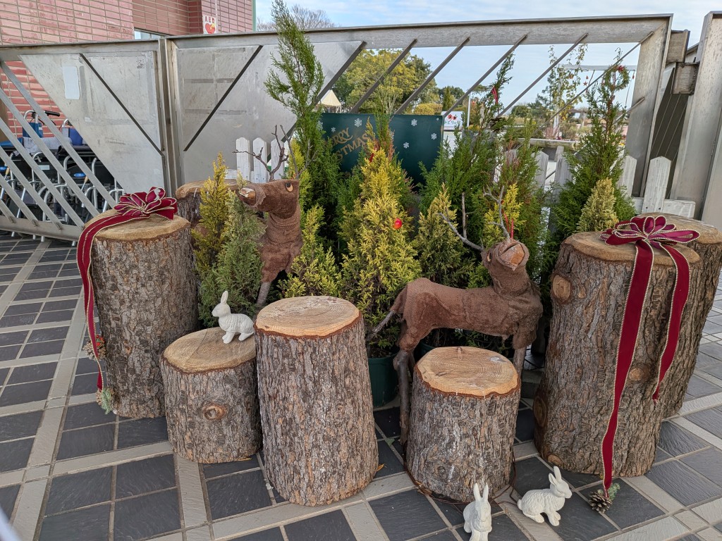 みどりの杜クリスマス4