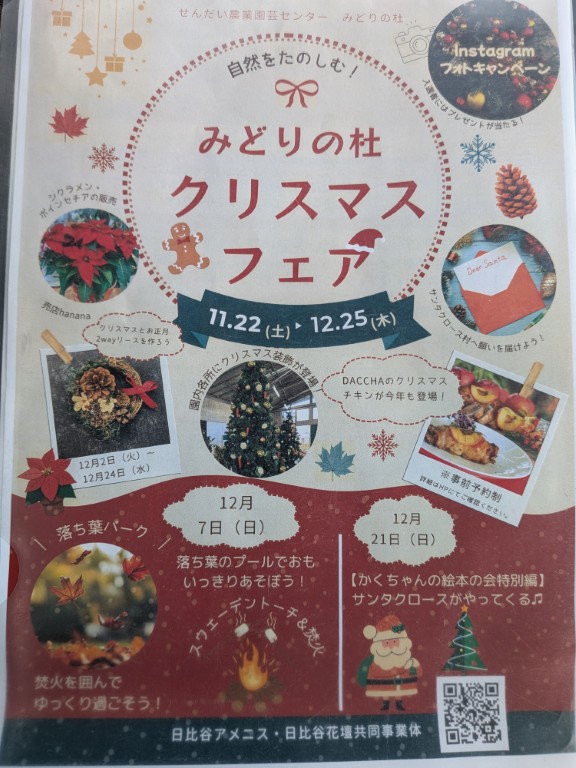 みどりの杜クリスマス5