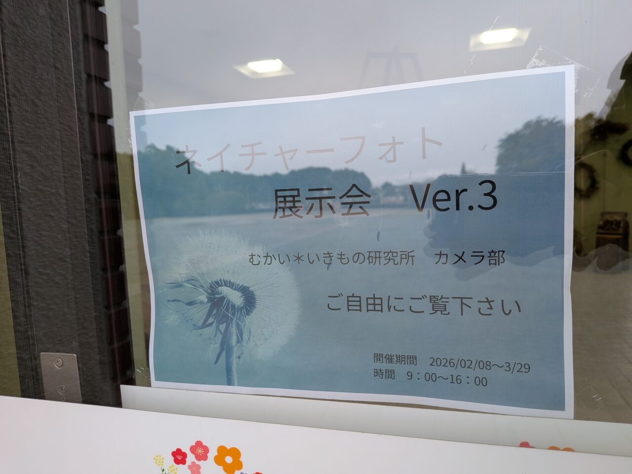 ネイチャーフォト１