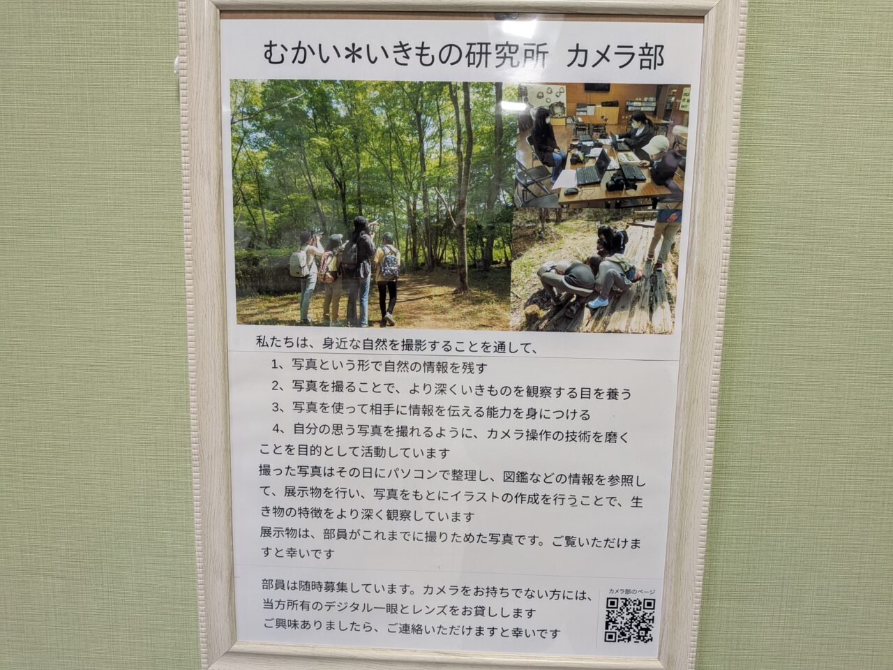 ネイチャーフォト5