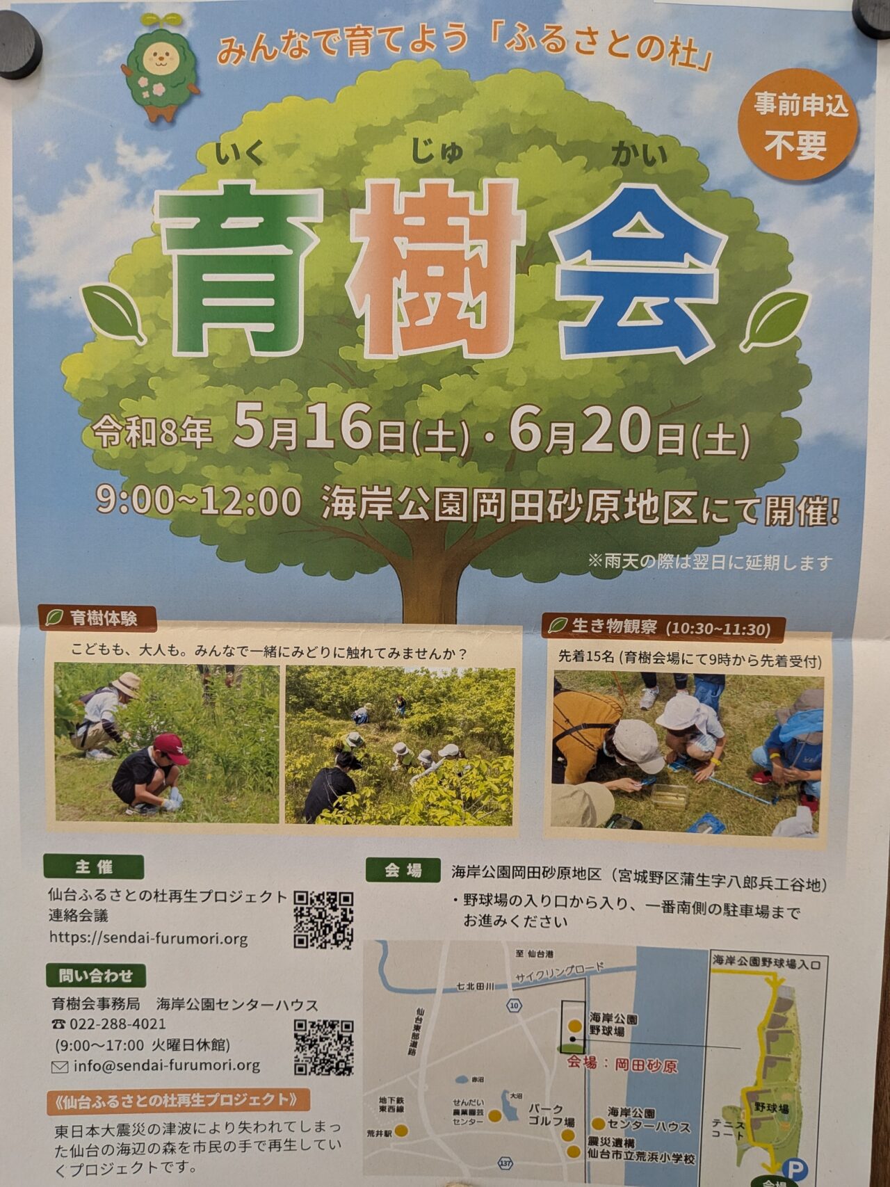 育樹１