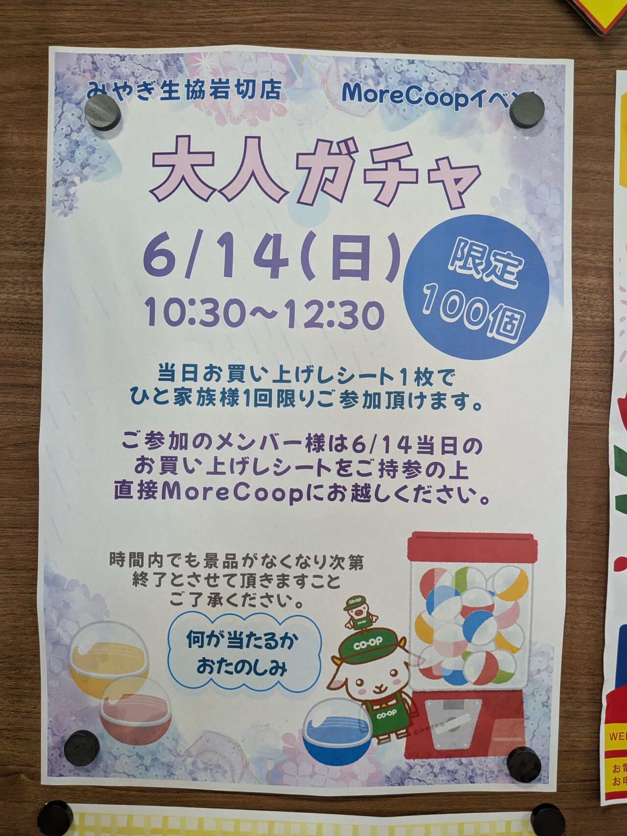 大人ガチャ