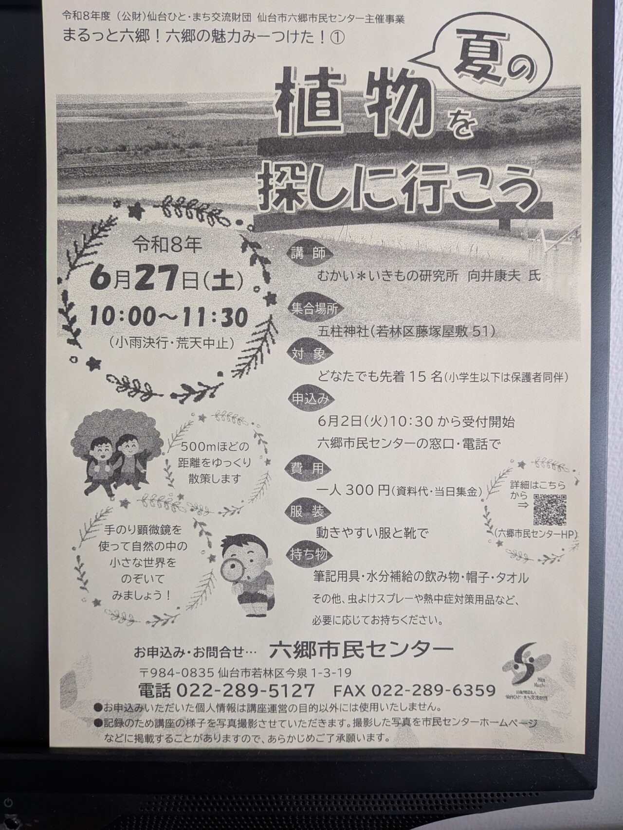 夏の植物1