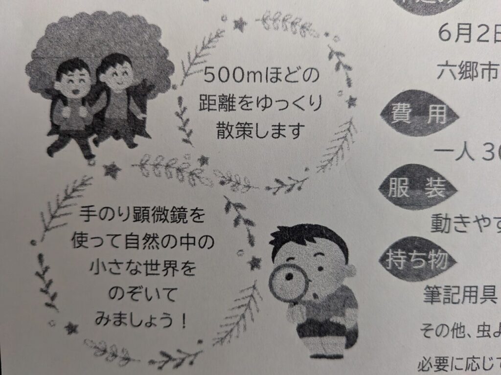 夏の植物2