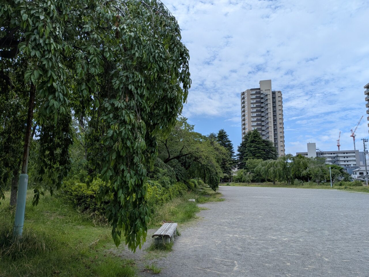 榴岡公園3