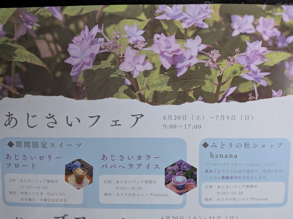 あじさい2