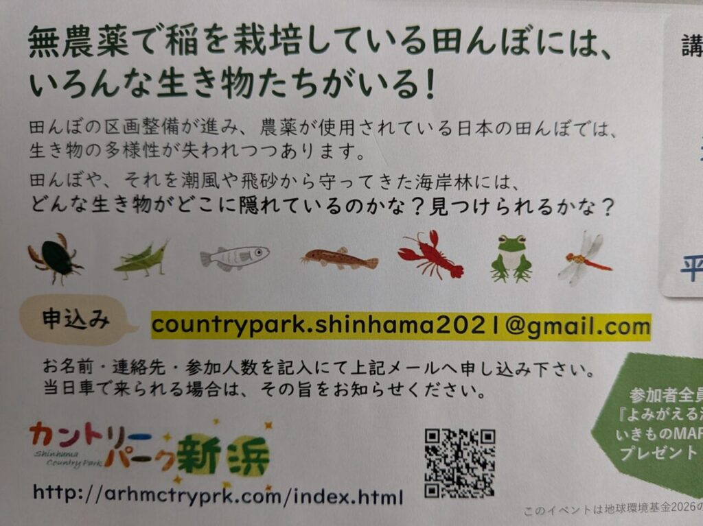 ビオトープ2