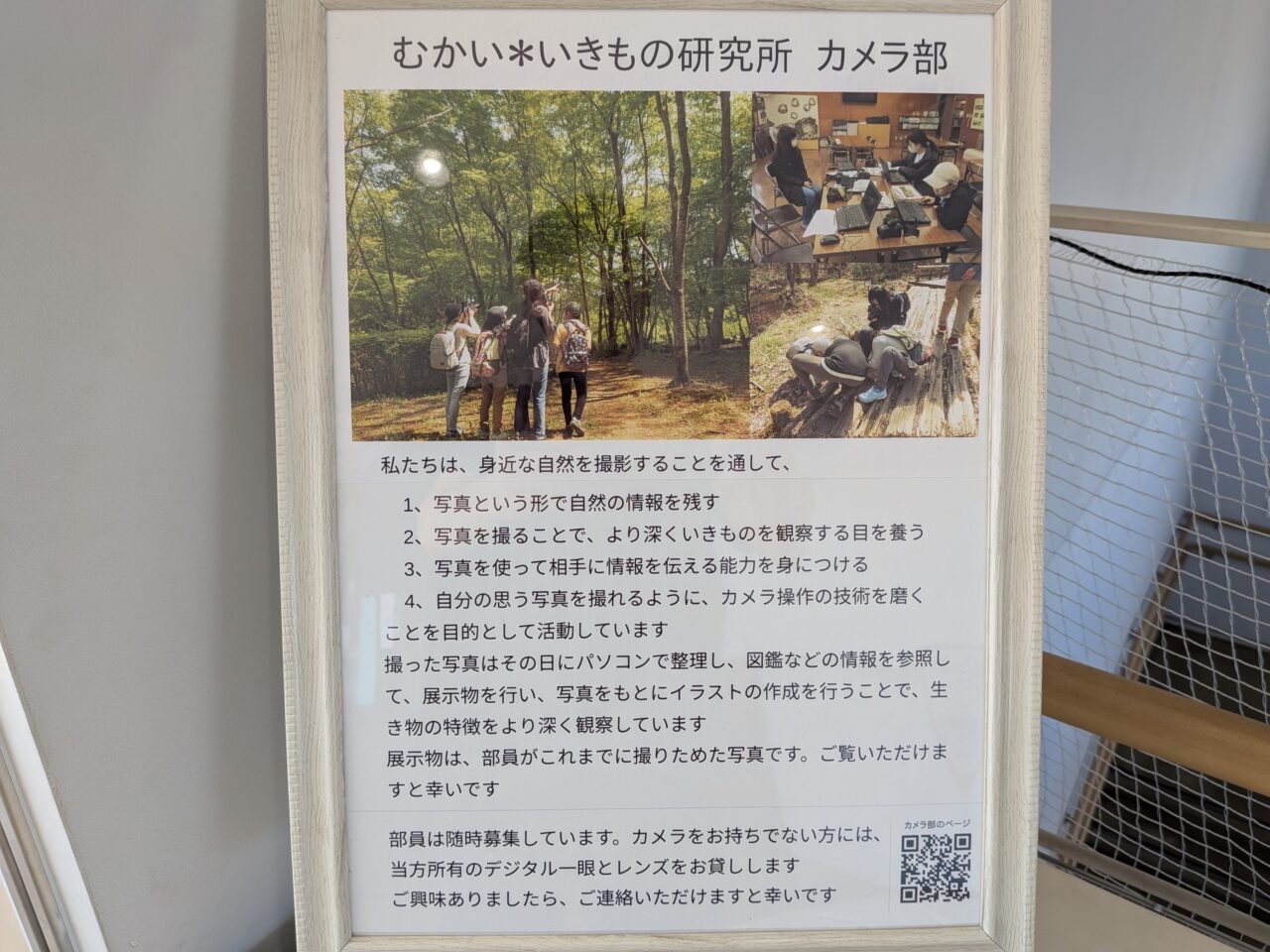むかい写真部2